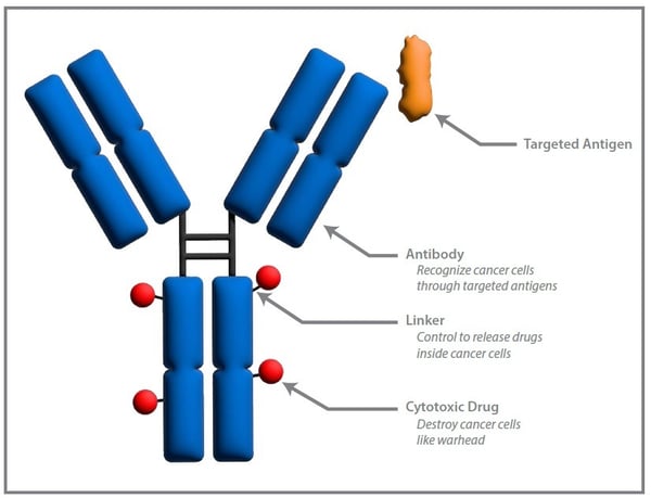 Antibody-drug-conjugate-ADC-characterization