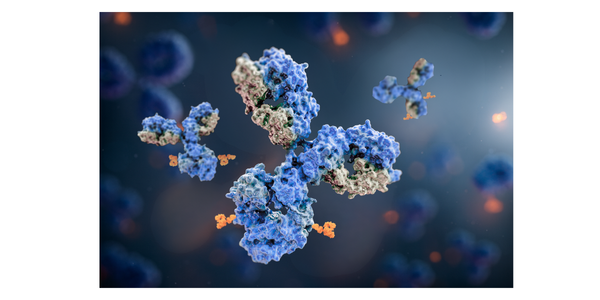 Antibody-Drug Conjugates (ADC)  Crystal Bio Solutions