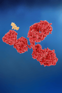 anitbody-drug-conjugate-crystal-biosolutions