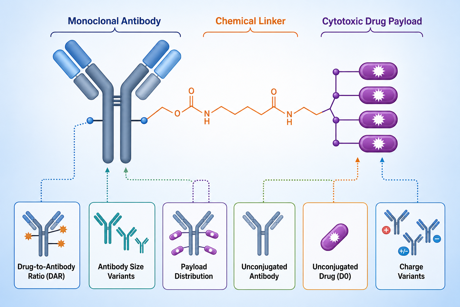 Critical Quality Attributes in Antibody-Drug Conjugates